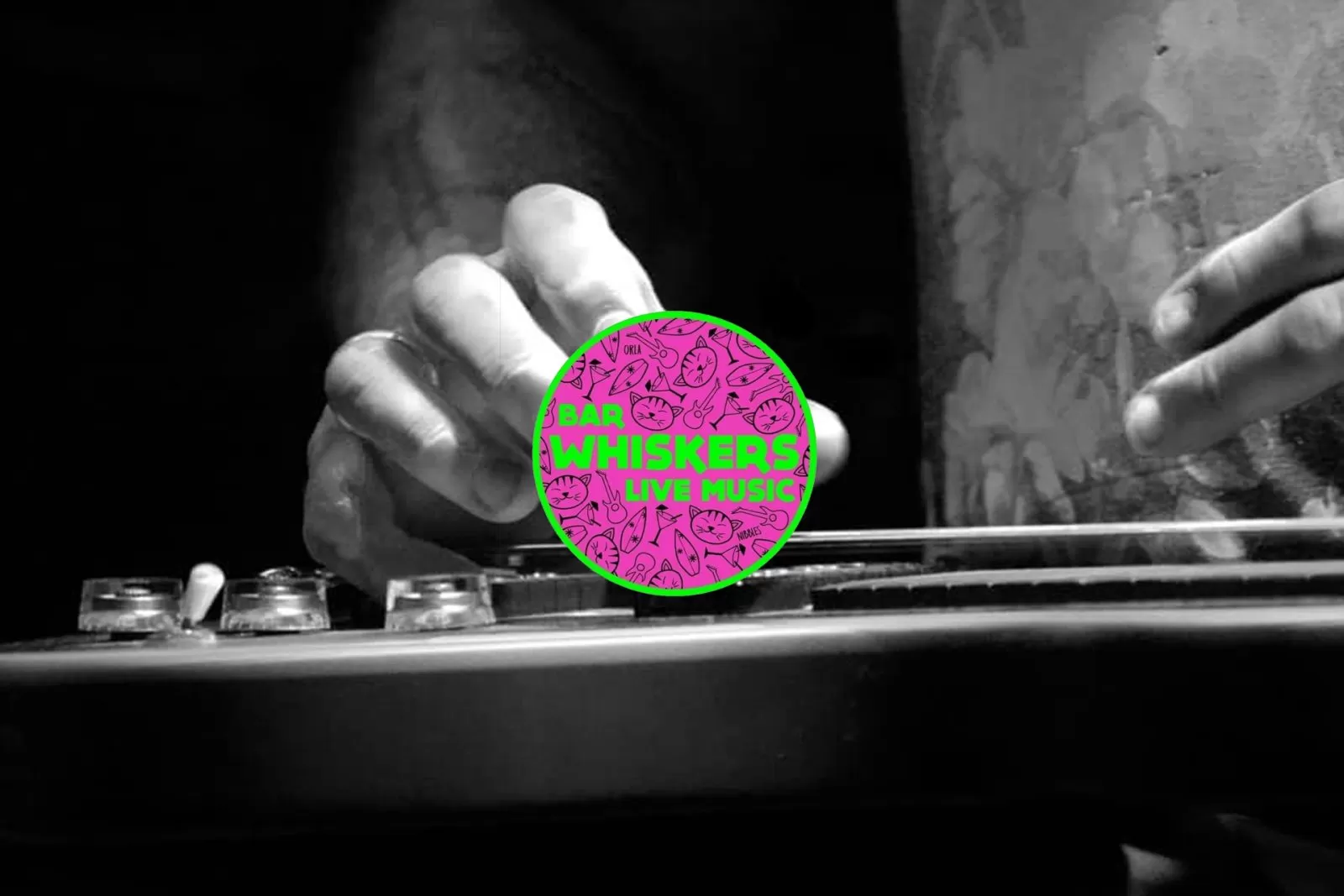 whiskers_newquay-clubbing