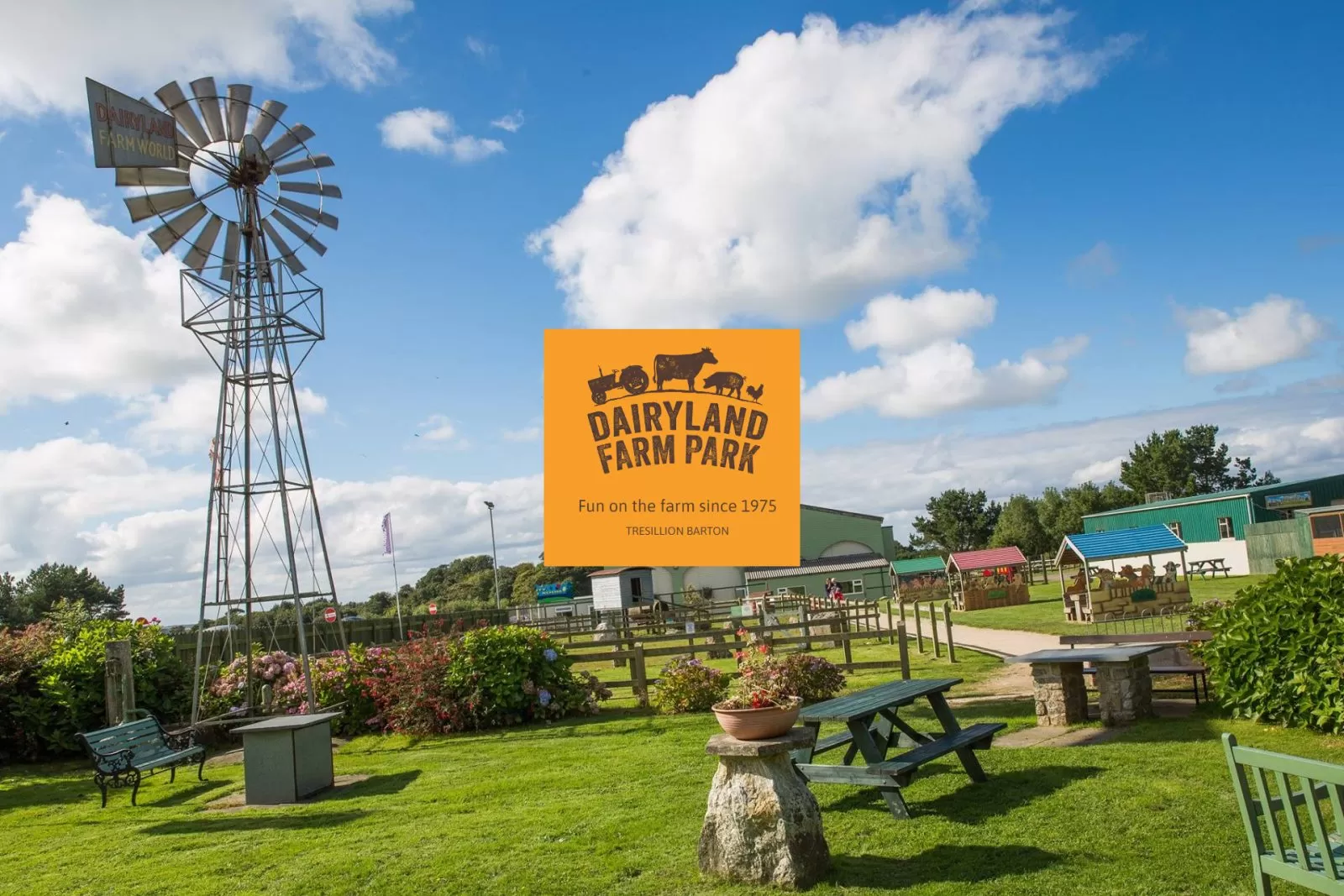 Dairyland-Farm-Park_newquay-clubbing